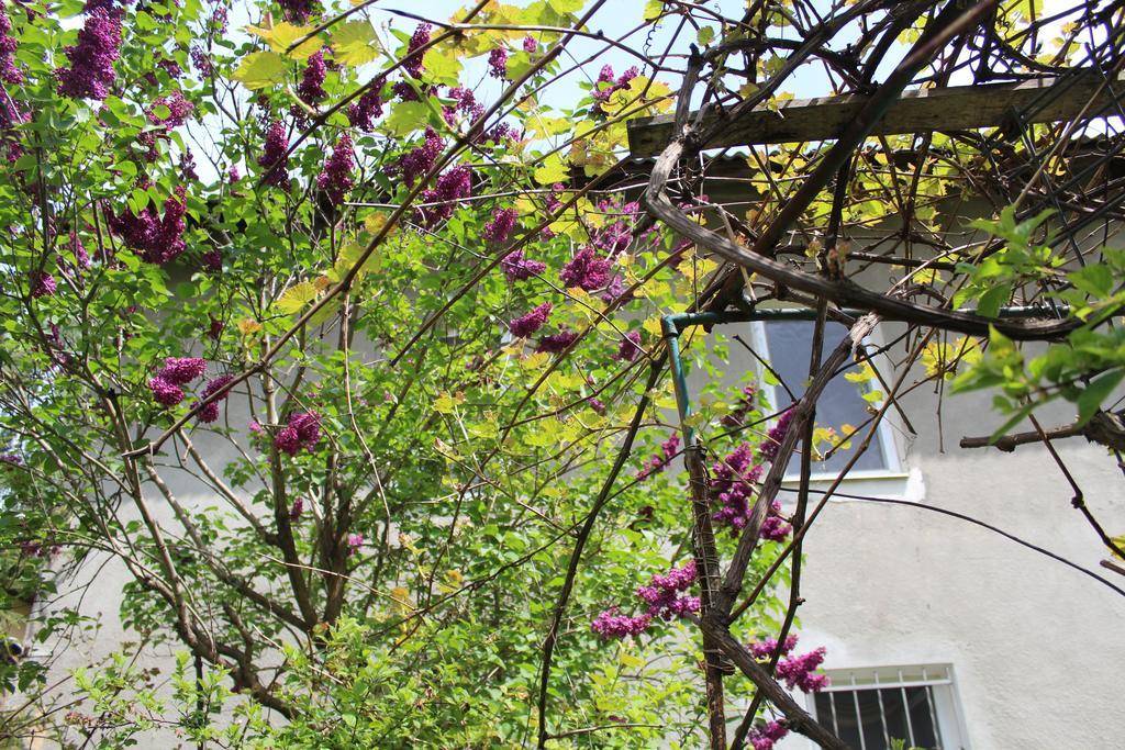 Apartment On Zaliznychna Lviv Exterior photo